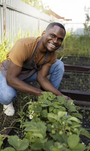 man-doing-indoor-farming